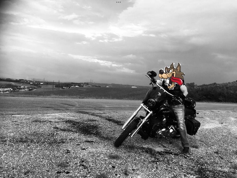 Harley-Davidson 1584 Super Glide Custom (2008 - 13) - FXDC (5)