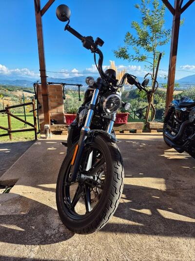 Harley-Davidson Nightster (2023 - 25) usata