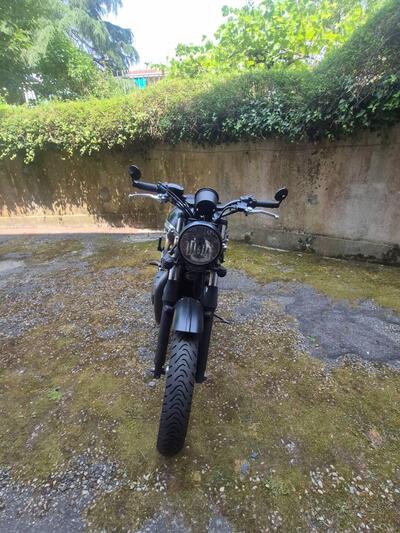 Triumph Thruxton 900 (2004 - 15) usata