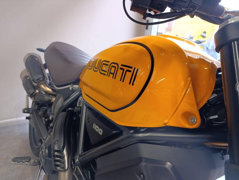 Ducati Scrambler 1100 Tribute Pro (2022 - 24) (6)