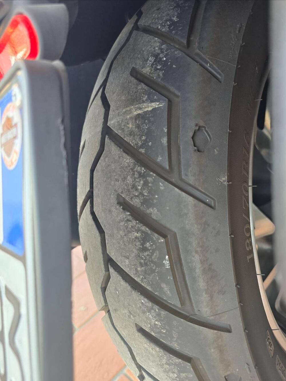 Harley-Davidson 107 Sport Glide (2018 - 20) (10)