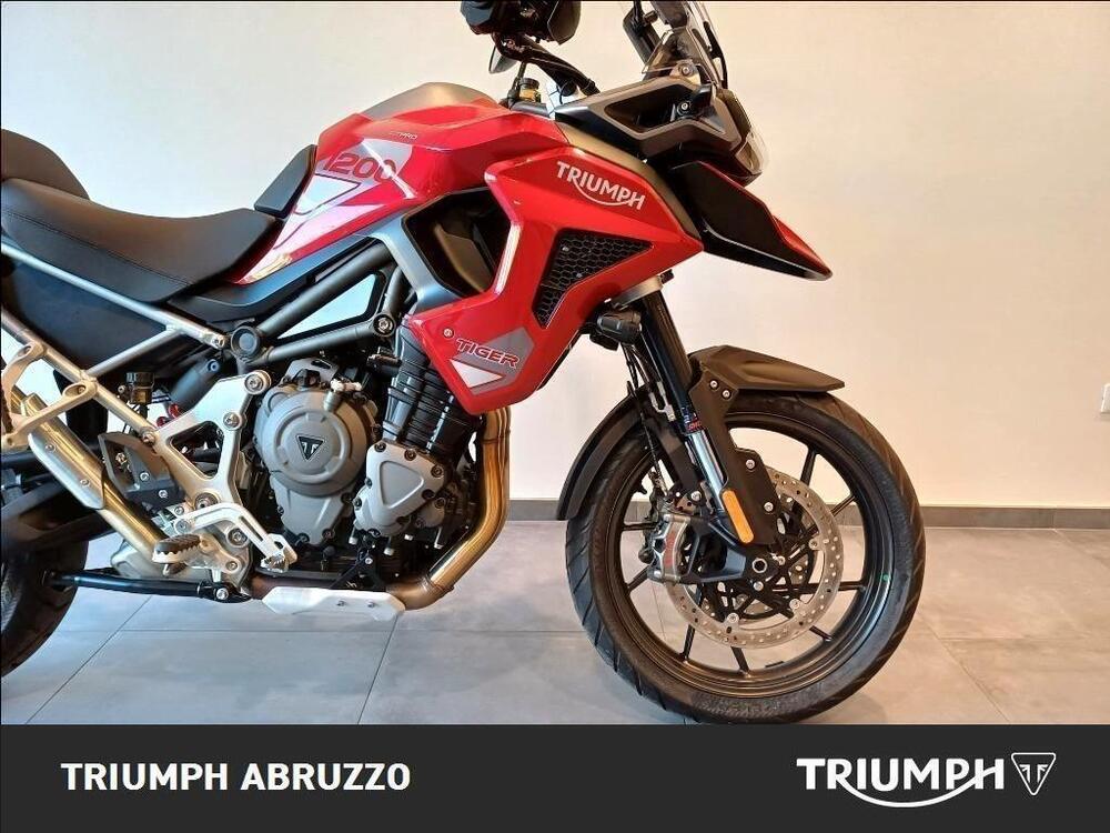 Triumph Tiger 1200 GT Pro (2024 - 25) (6)