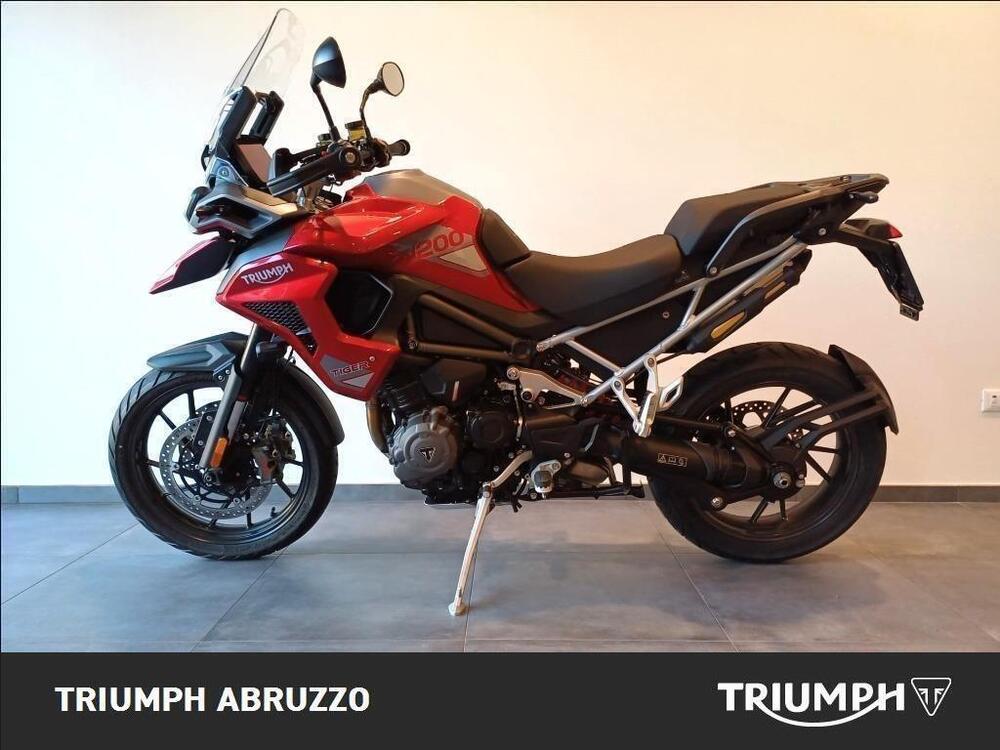 Triumph Tiger 1200 GT Pro (2024 - 25) (4)