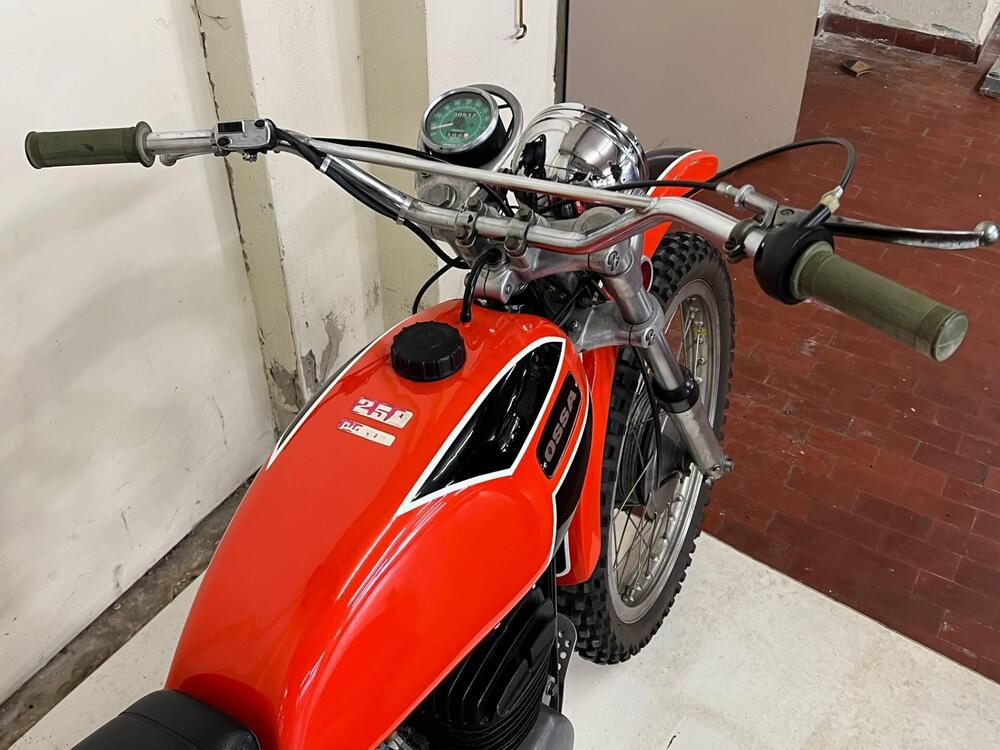 Ossa Pioner enduro 250  regolarità - sei giorni - ISDT (5)