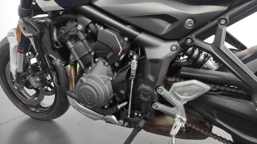 Triumph Trident 660 Triple Tribute Edition (2024) (13)