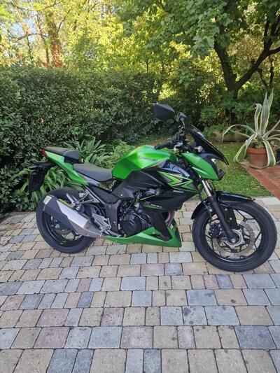 Kawasaki Z 300 ABS (2015 - 16) usata