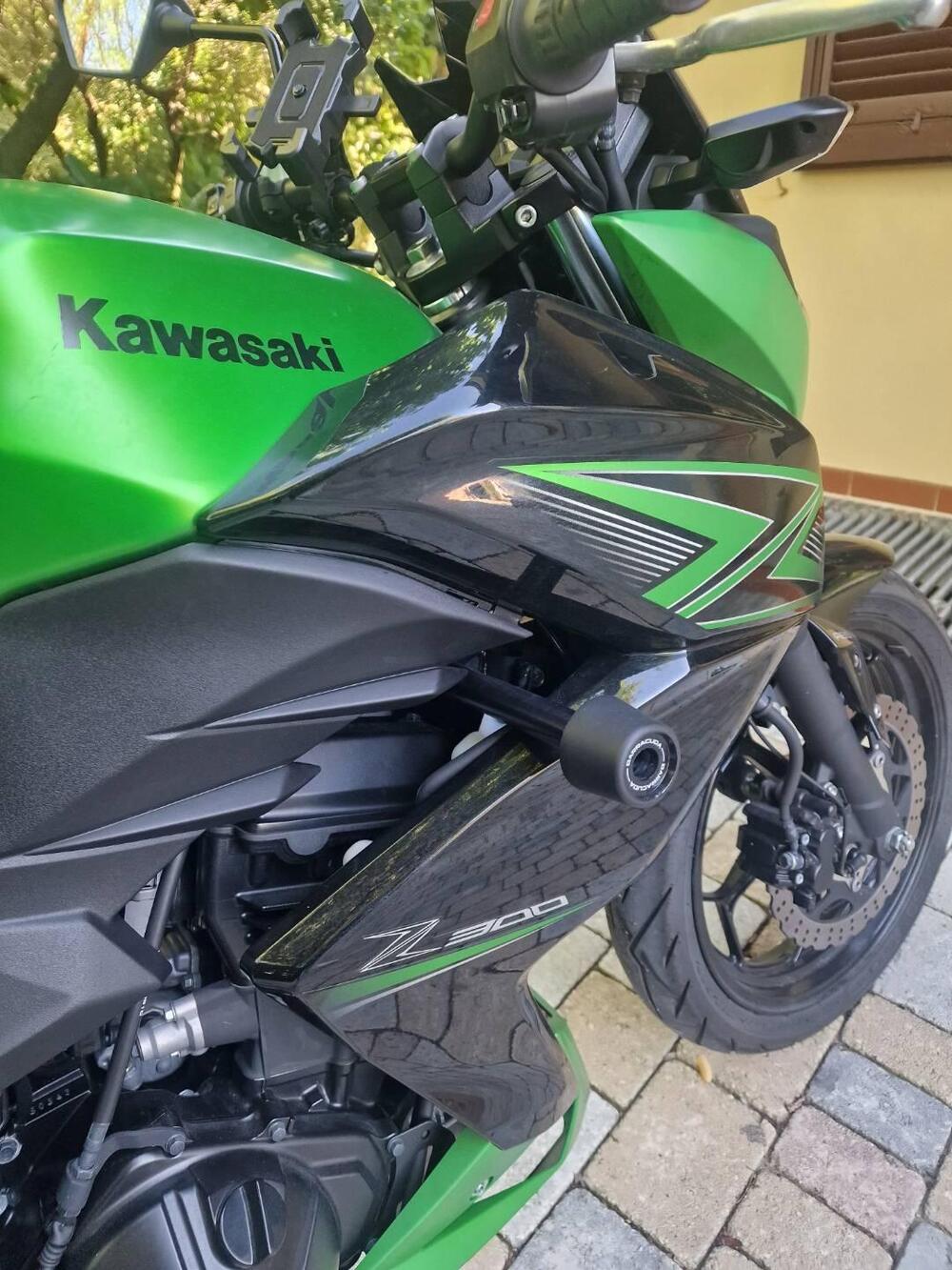 Kawasaki Z 300 ABS (2015 - 16) (3)