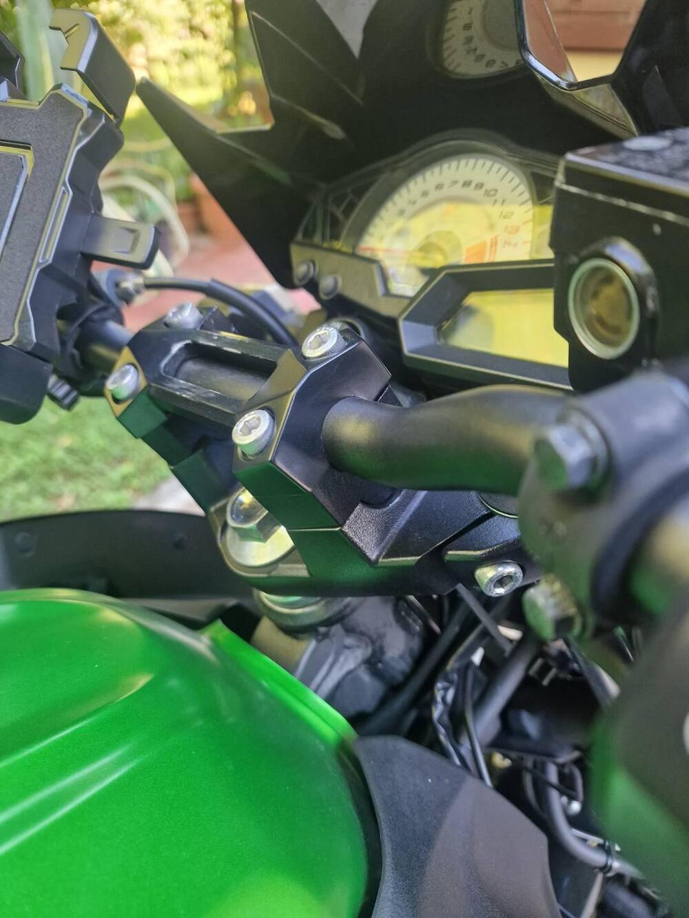 Kawasaki Z 300 ABS (2015 - 16) (4)