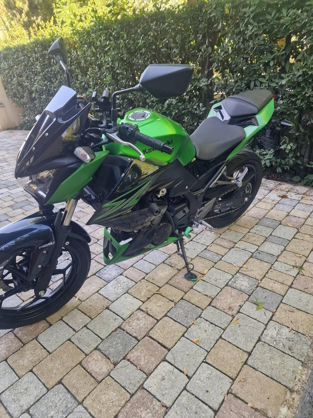 Kawasaki Z 300 ABS (2015 - 16) (6)