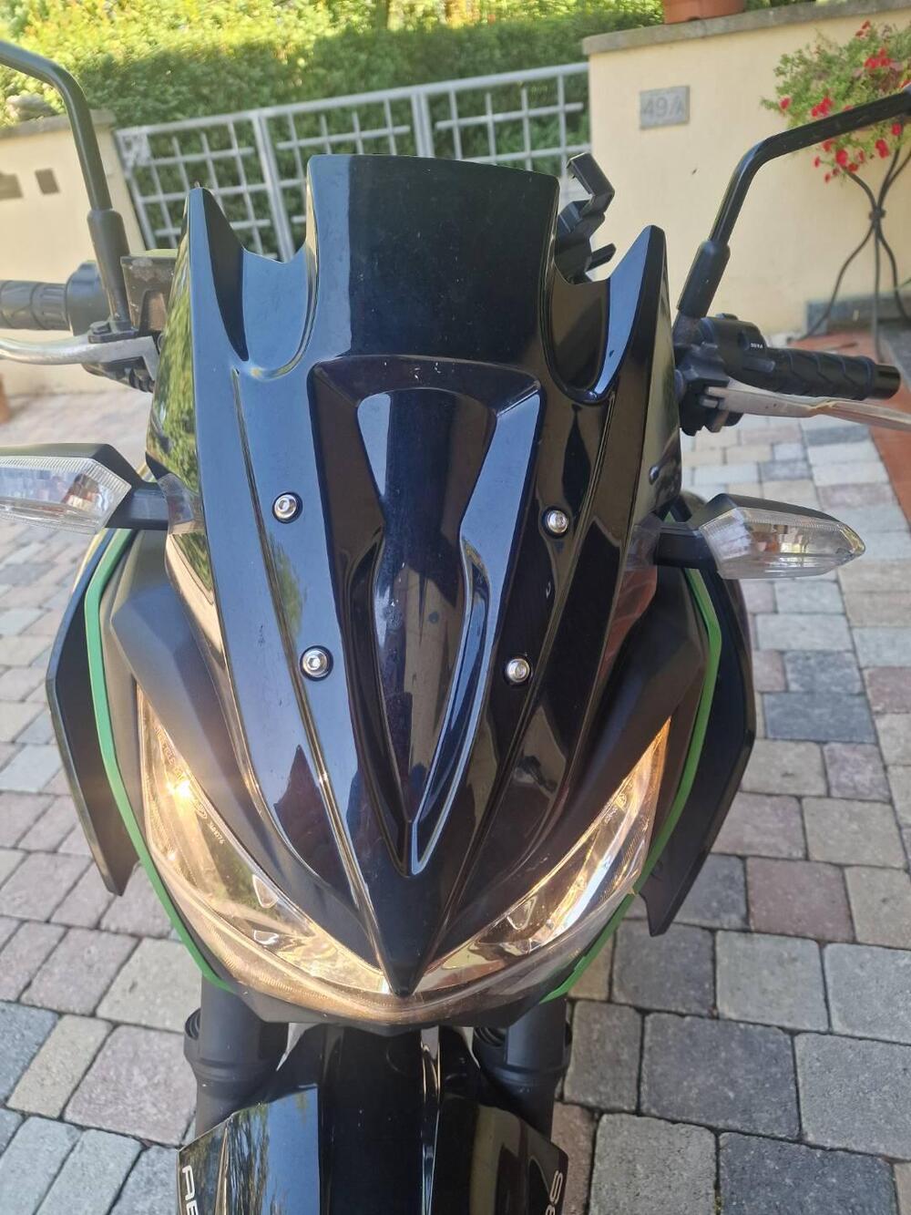 Kawasaki Z 300 ABS (2015 - 16) (8)