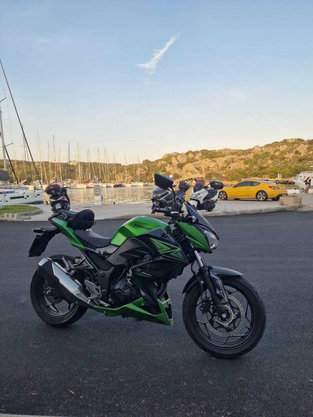 Kawasaki Z 300 ABS (2015 - 16) (11)