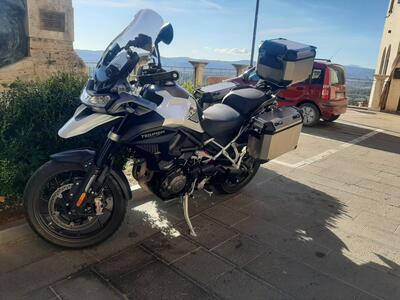 Triumph Tiger 1200 GT Pro (2022 - 23) usata