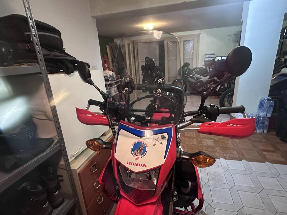 Honda CRF 300 L (2021 - 24) (7)