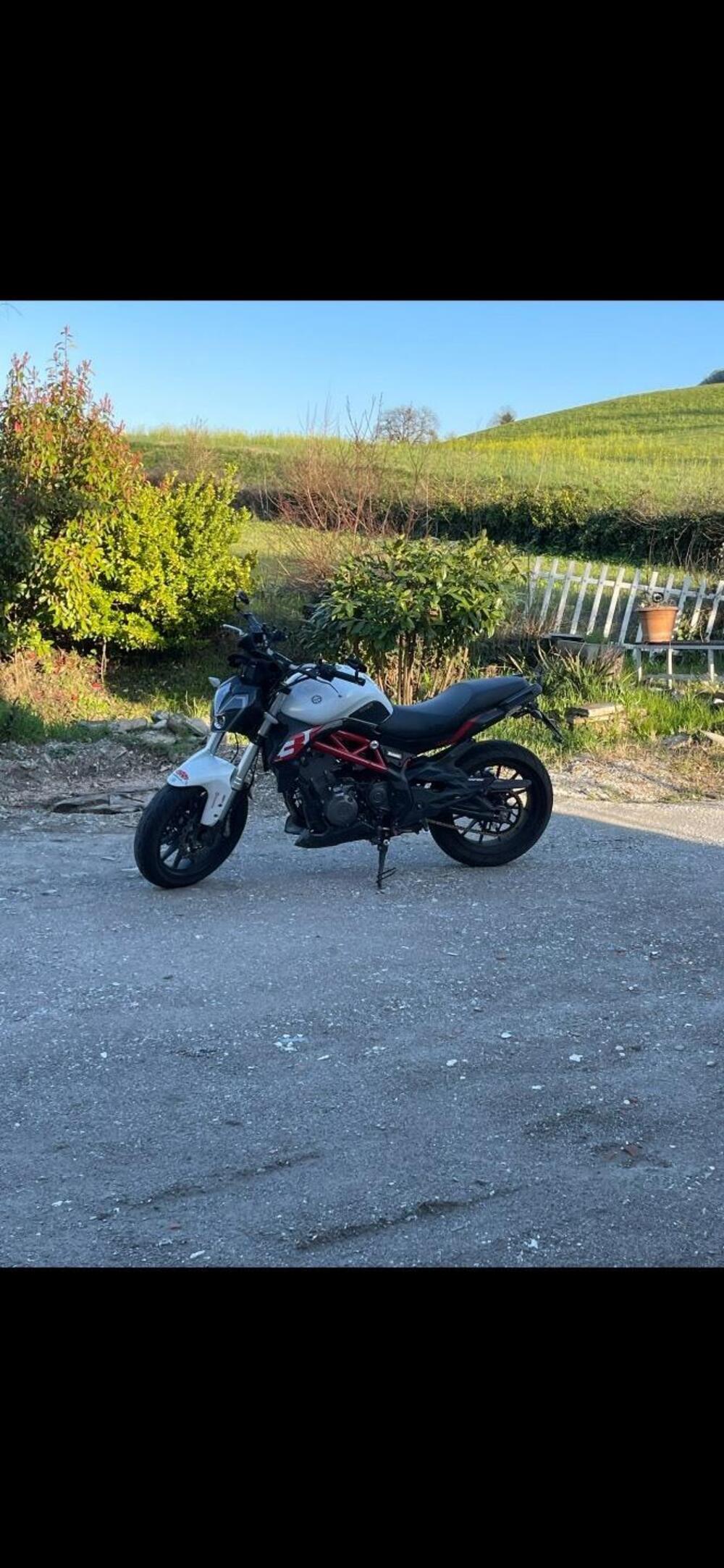 Benelli BN 302 S (2019 - 20) (3)