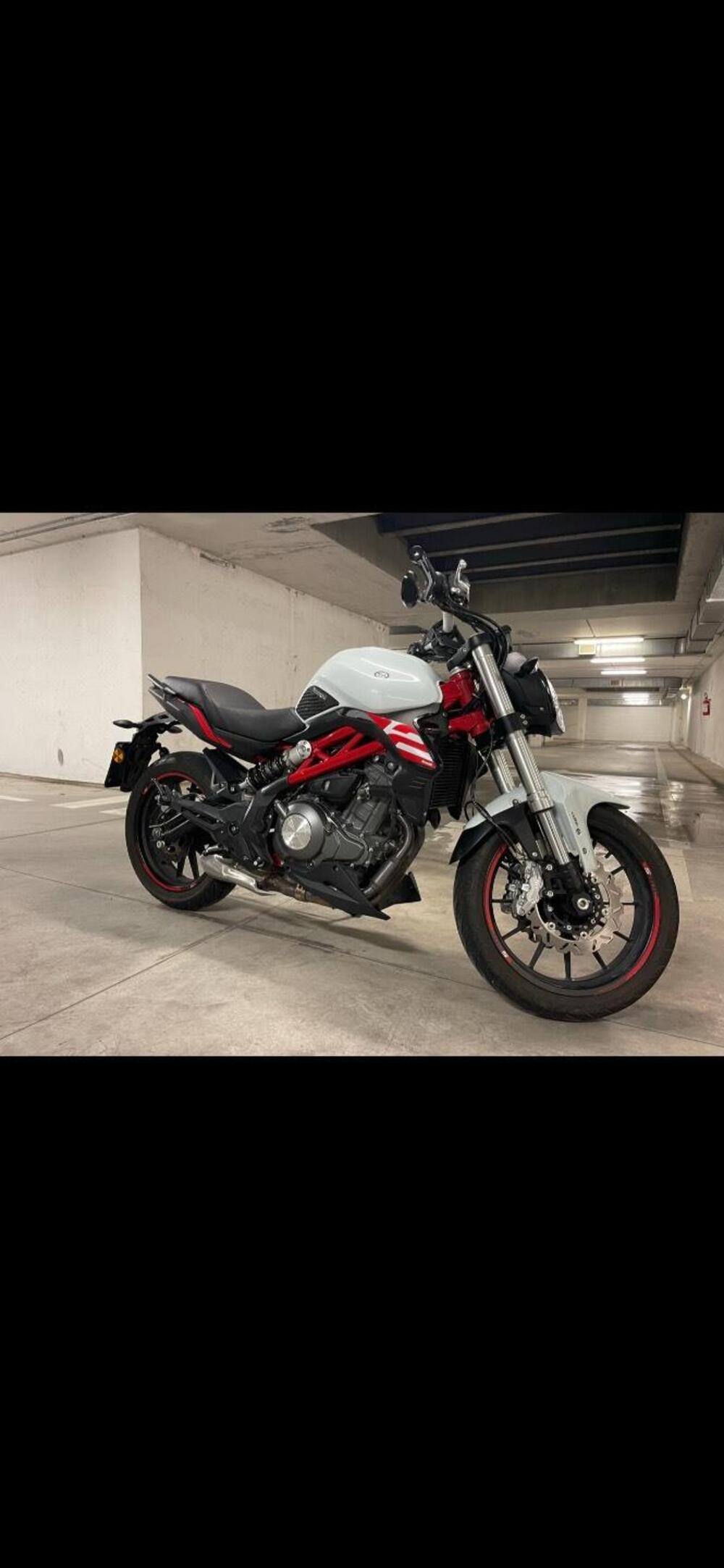 Benelli BN 302 S (2019 - 20) (5)