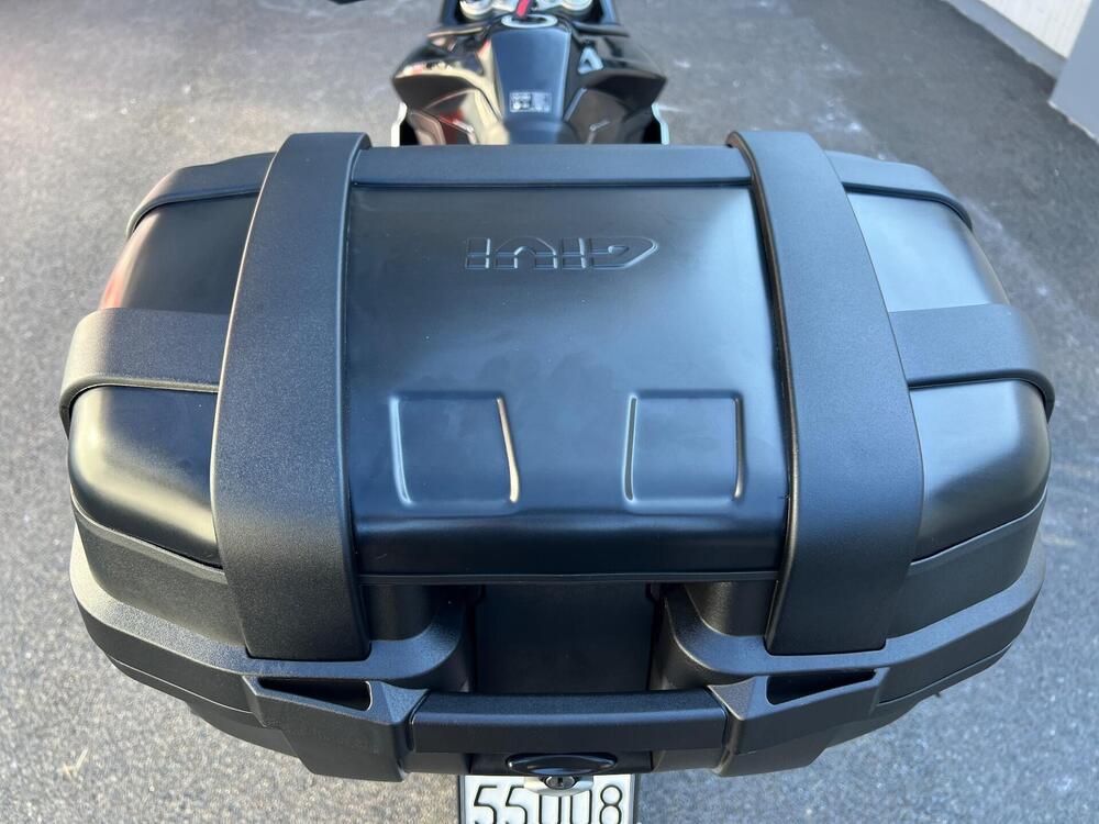 Triumph Tiger 900 Rally Pro (2024 - 26) (11)