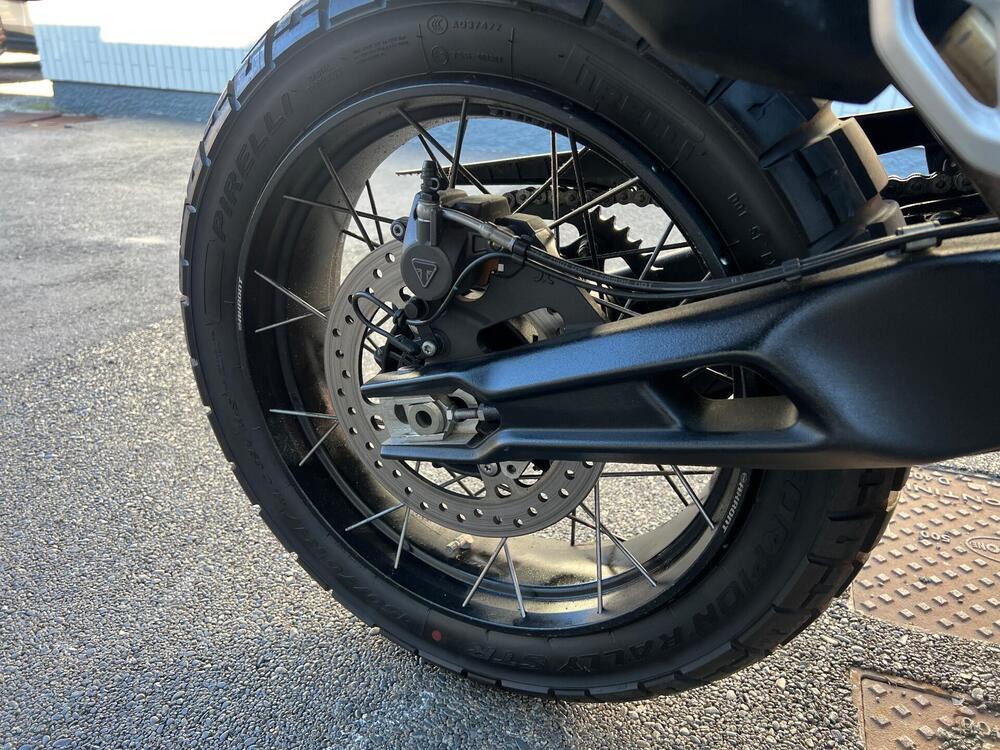Triumph Tiger 900 Rally Pro (2024 - 26) (19)