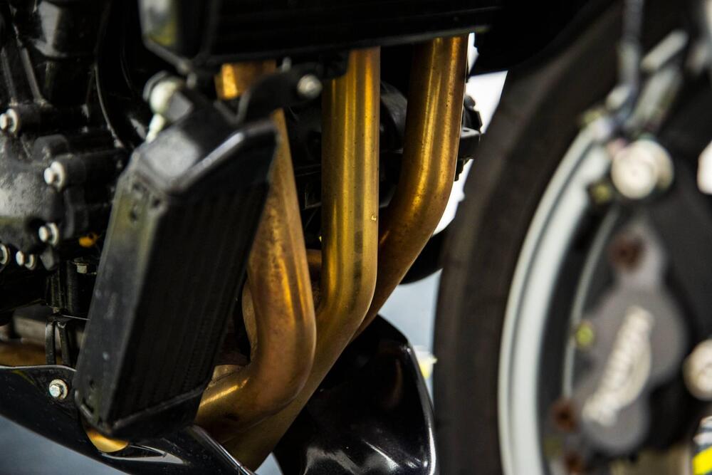 Triumph Speed Triple 955 (2002 - 04) (17)