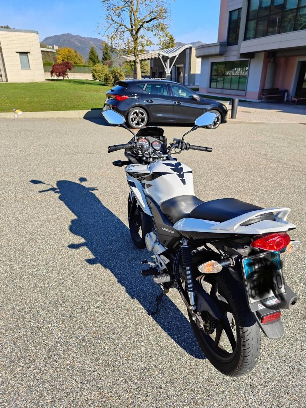 Honda CBF 125 (2008- 14) (6)