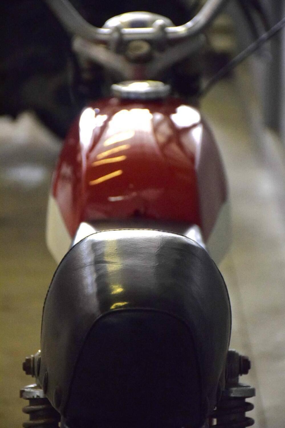 Moto Morini Corsarino 50 (8)