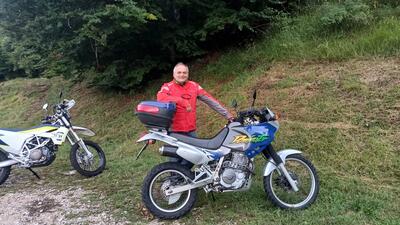 Honda NX 650 Dominator (1996 - 02) usata