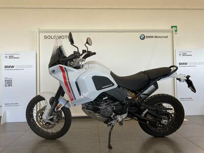 Ducati DesertX (2022 - 25) usata