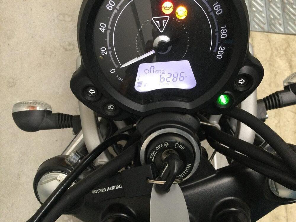 Triumph Street Scrambler 900 (2019 - 20) (2)