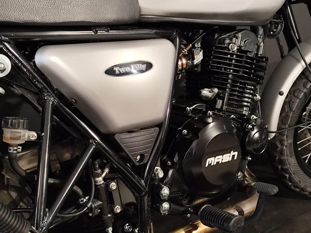 Mash Italia Two Fifty 250 (2021 - 25) (14)