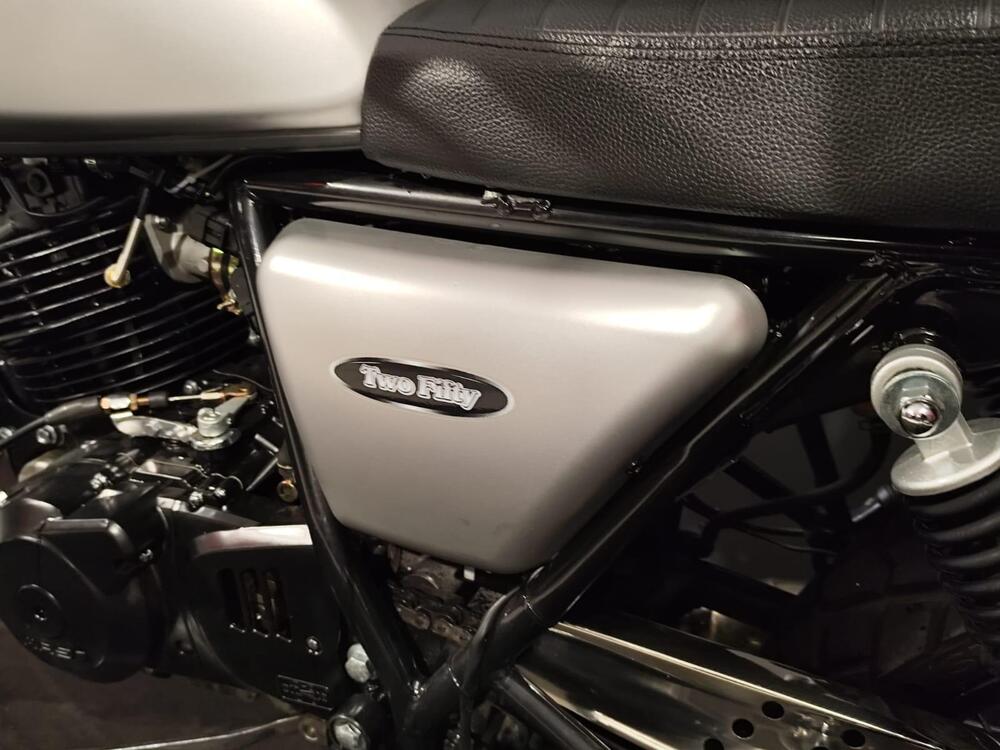 Mash Italia Two Fifty 250 (2021 - 25) (15)