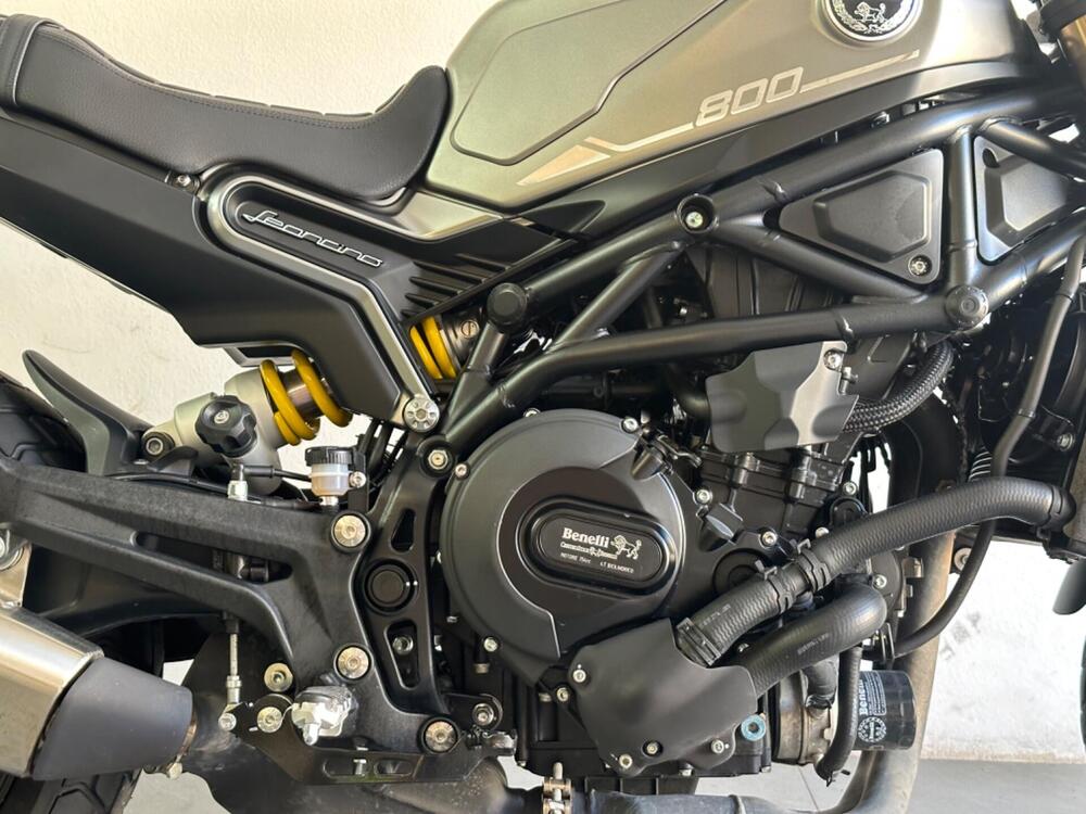 Benelli Leoncino 800 (2022 - 26) (4)