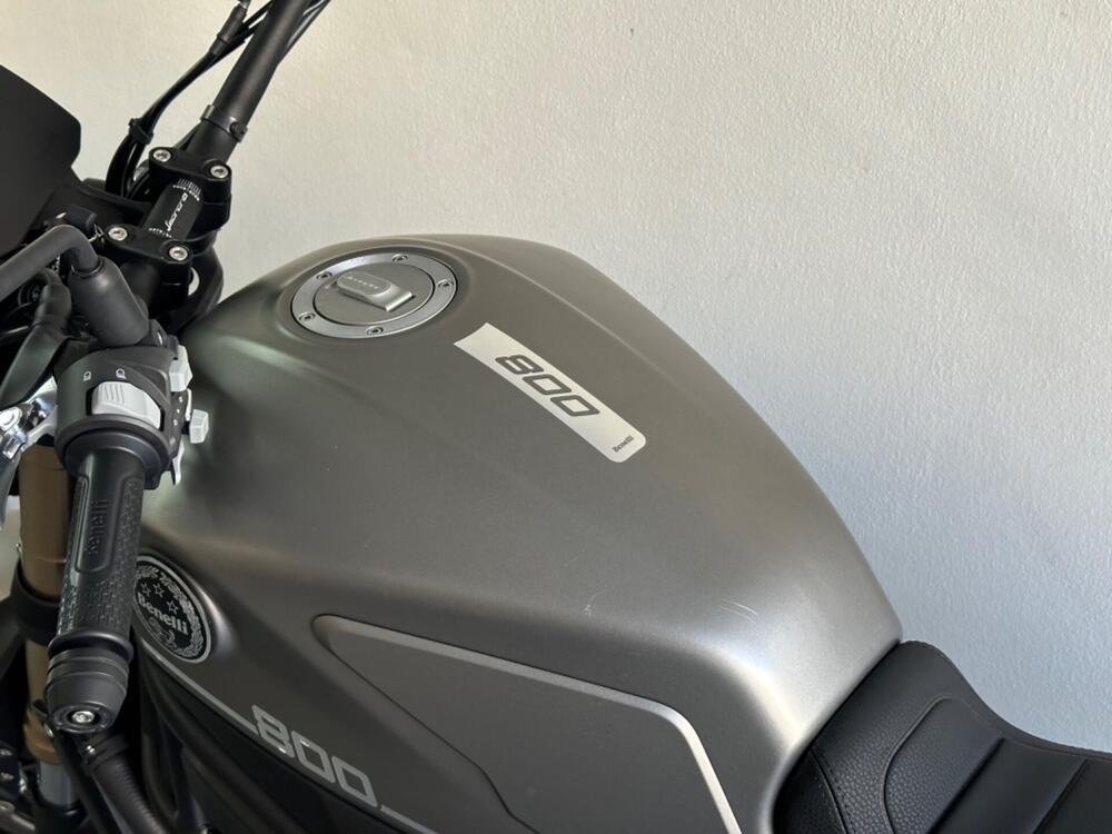 Benelli Leoncino 800 (2022 - 26) (8)