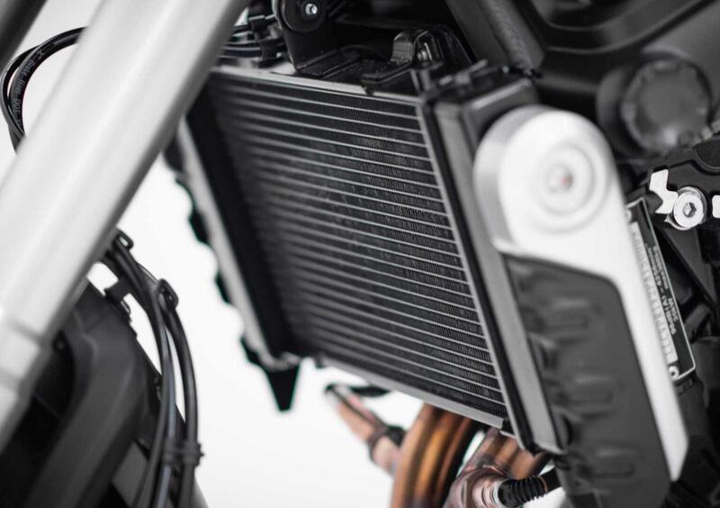 Voge Trofeo 525ACX Trofeo 525ACX Scrambler (2023 - 25) (13)