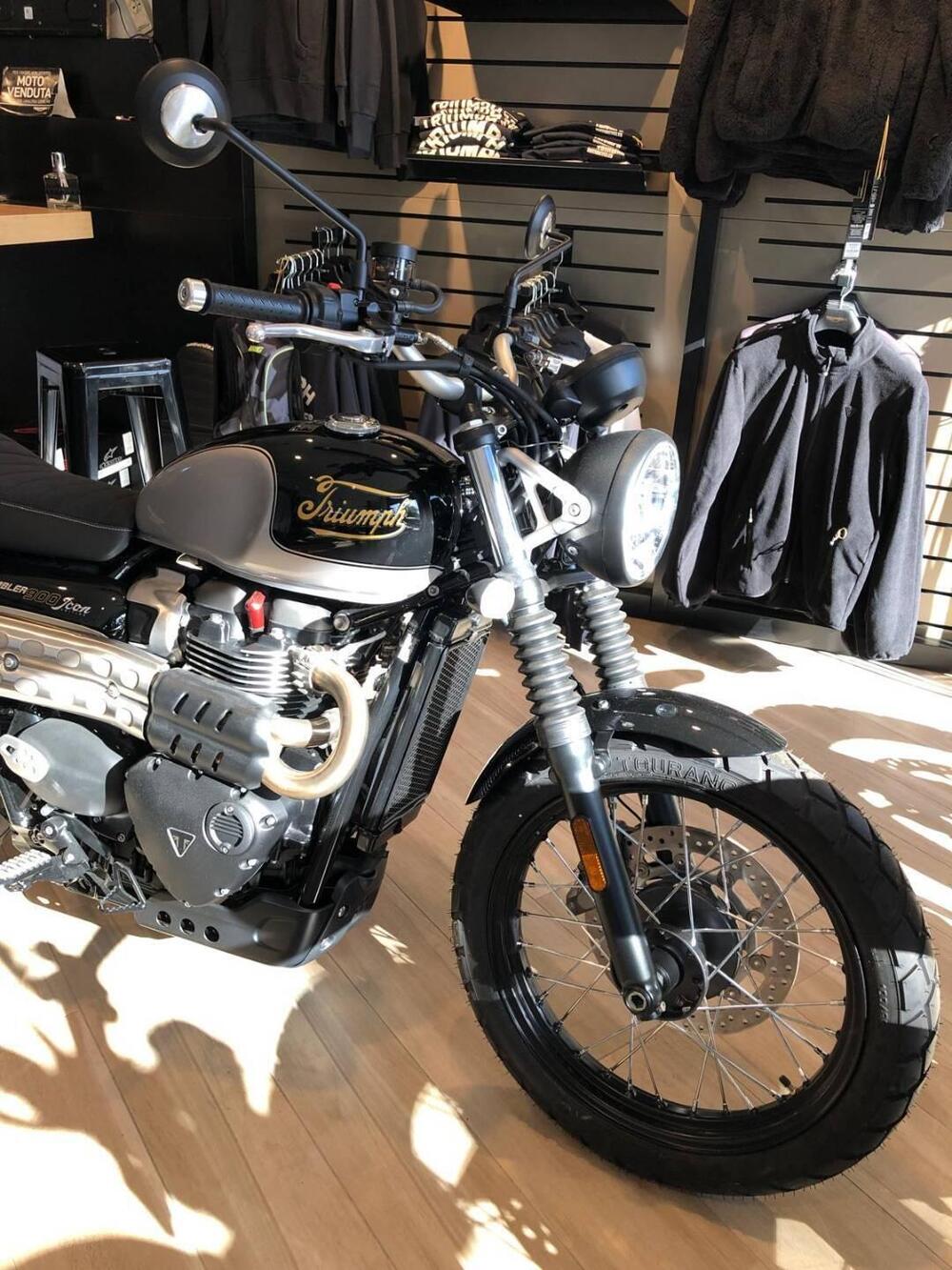 Triumph Scrambler 900 (2023 - 25) (6)