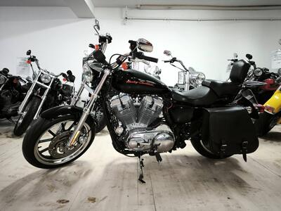Harley-Davidson 883 Low (2008 - 12) - XL 883L usata