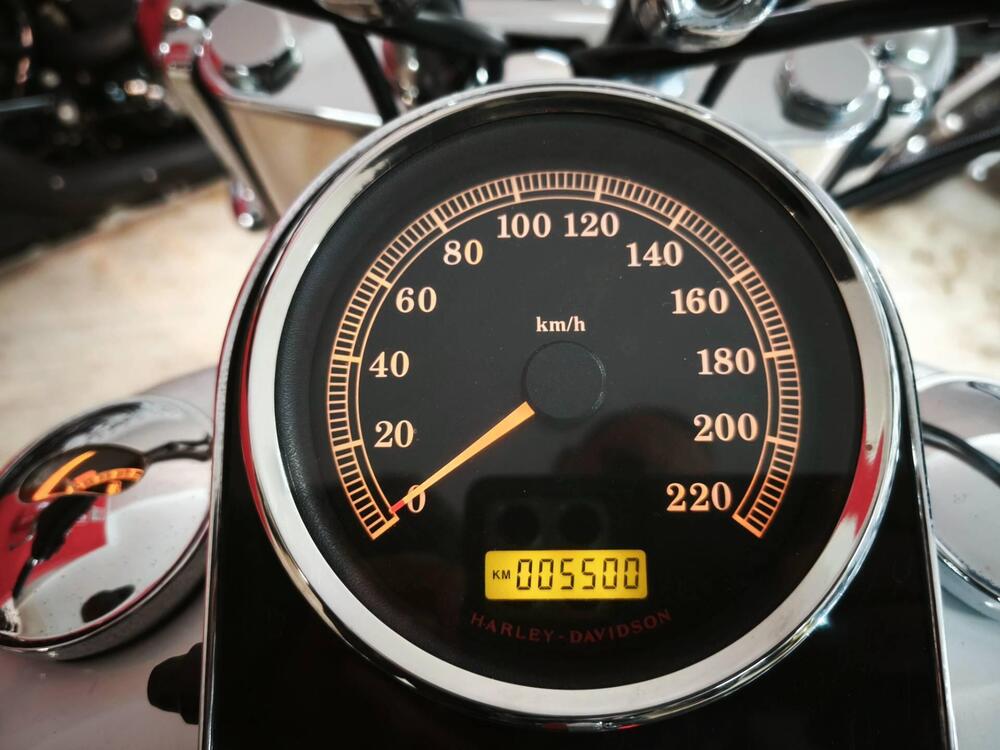 Harley-Davidson 1584 Deluxe (2007 - 08) - FLSTN (5)