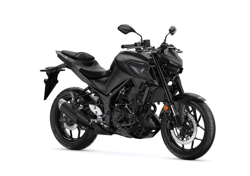 Yamaha MT-03 MT-03 (2025) (10)