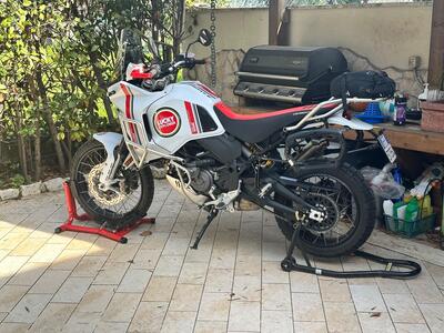 Ducati DesertX (2022 - 25) usata