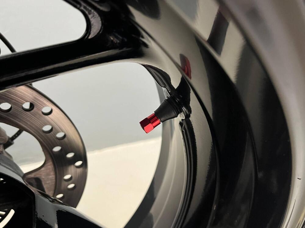 Suzuki GSX-S1000 (2021 - 25) (14)