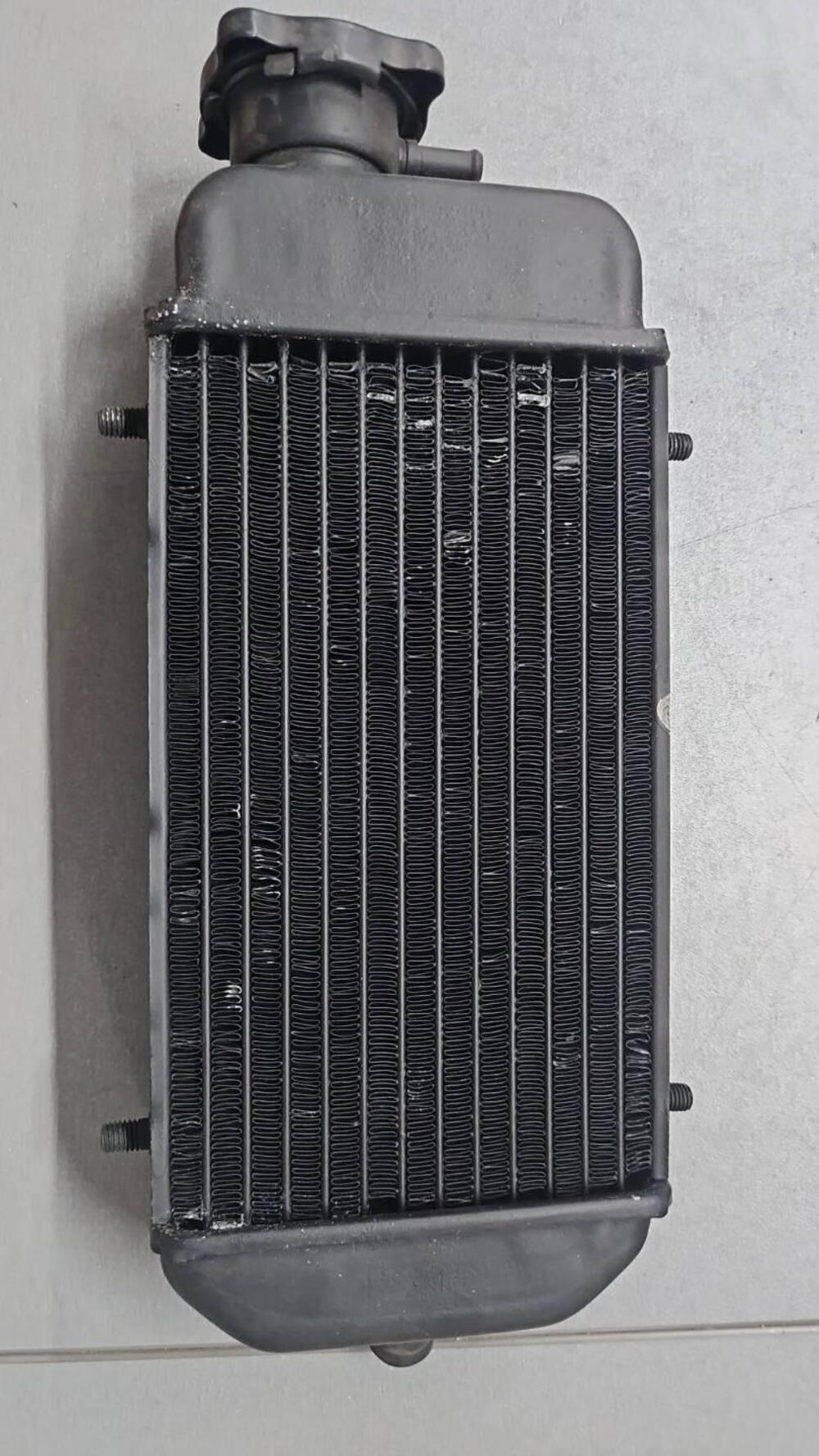 19010ks3900 Radiatore MTX 125 Honda