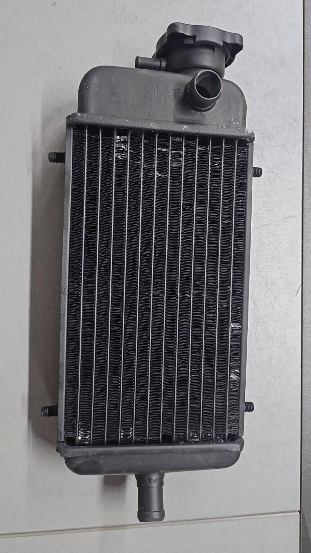 19010ks3900 Radiatore MTX 125 Honda (2)