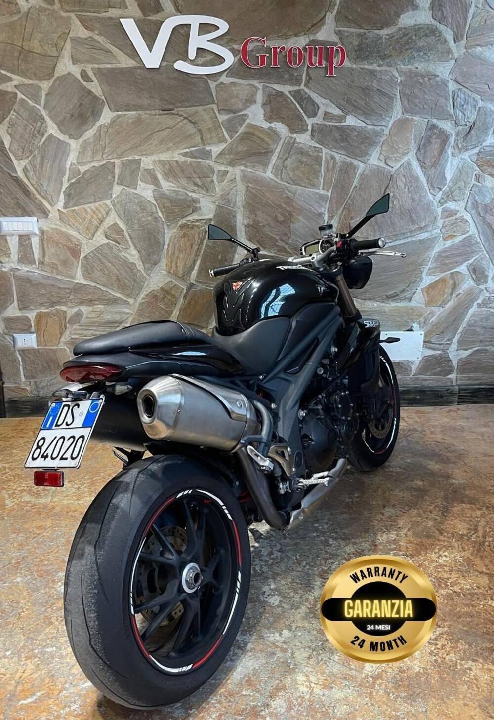 Triumph Speed Triple 1050 (2005 - 11) (2)