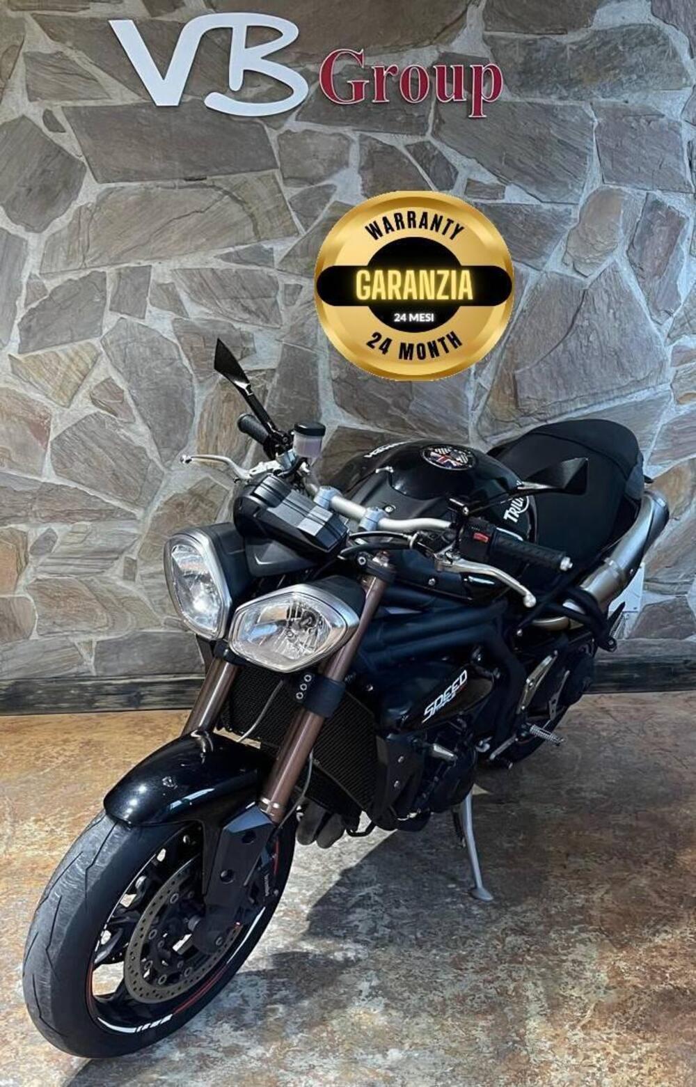 Triumph Speed Triple 1050 (2005 - 11) (8)