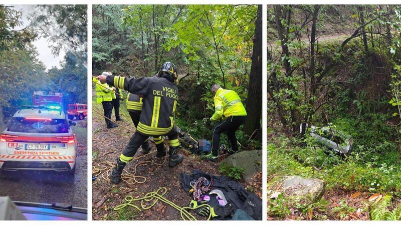 Pistoia: due cervi colpiscono una Fiat Panda, l&rsquo;auto precipita per 30 metri. Illeso il conducente