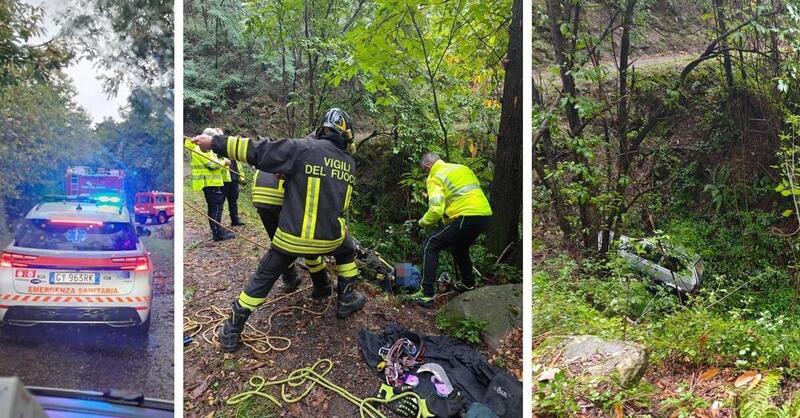 Pistoia: due cervi colpiscono una Fiat Panda, l&rsquo;auto precipita per 30 metri. Illeso il conducente