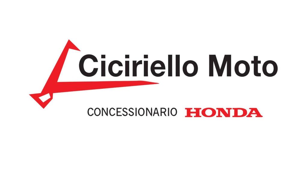 Honda CB 1000 Hornet (2025 - 26) (9)