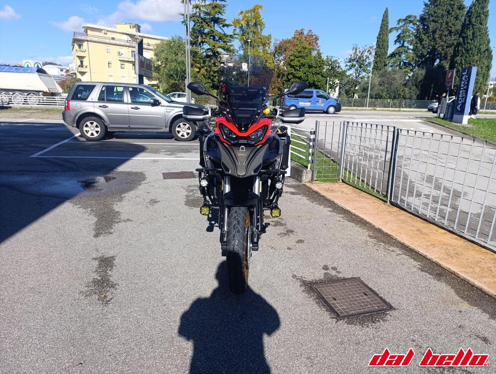 QJ Motor SRT 800 SX (2024 - 25)