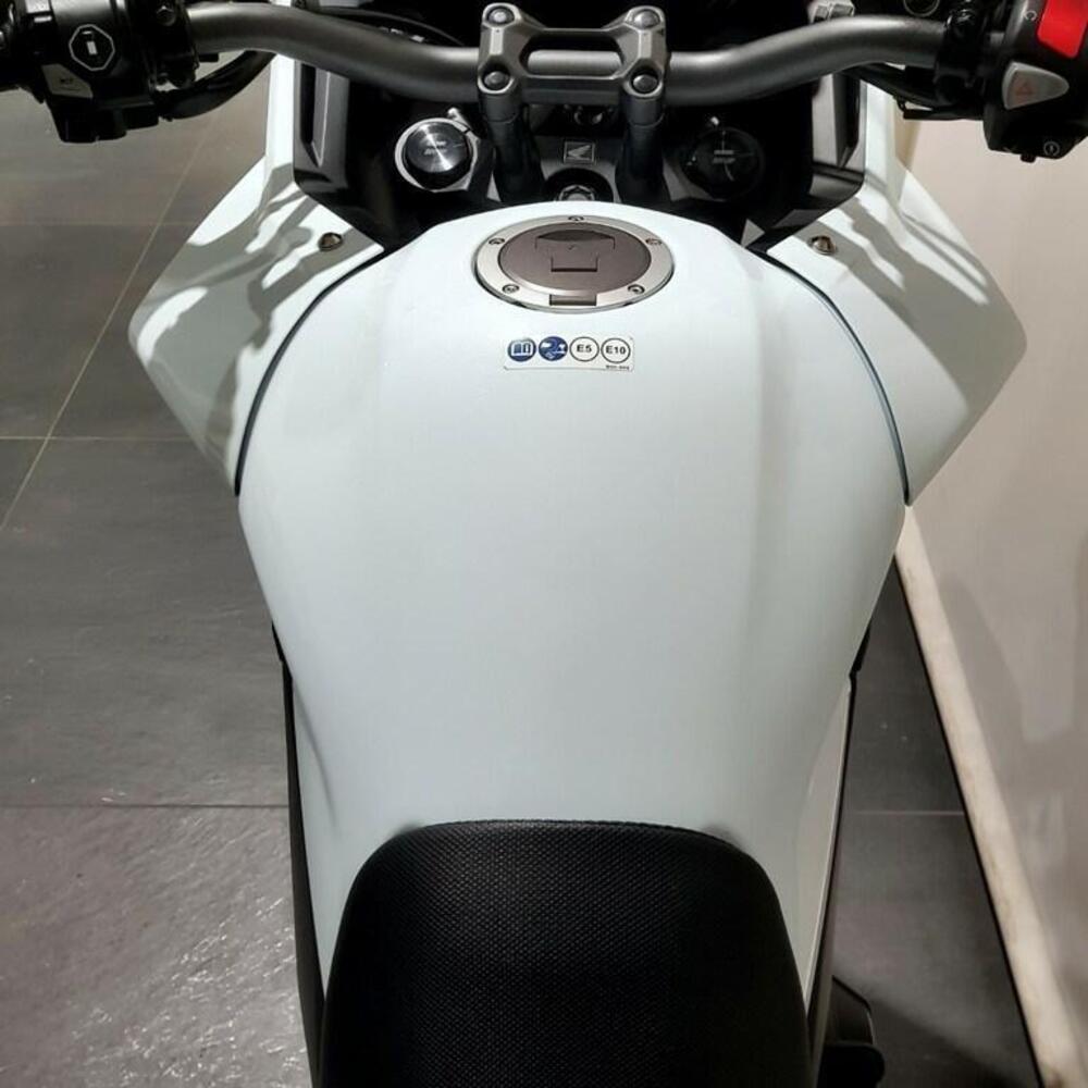 Honda CB 500 Hornet (2024 - 25) (6)