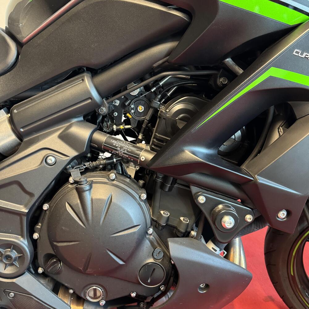 Kawasaki Versys 650 Tourer Plus (2017 - 20) (8)