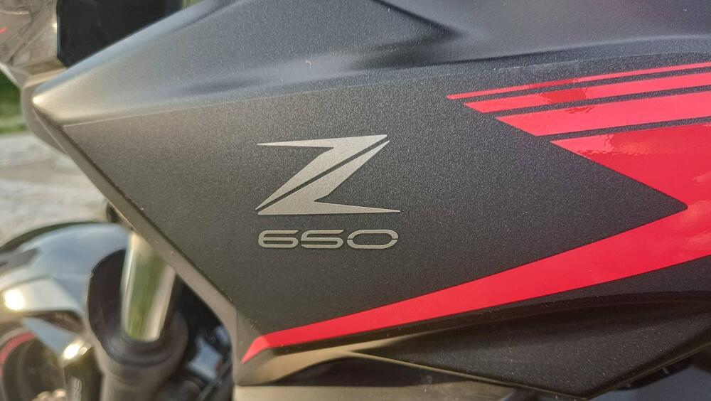 Kawasaki Z 650 (2021 - 24)