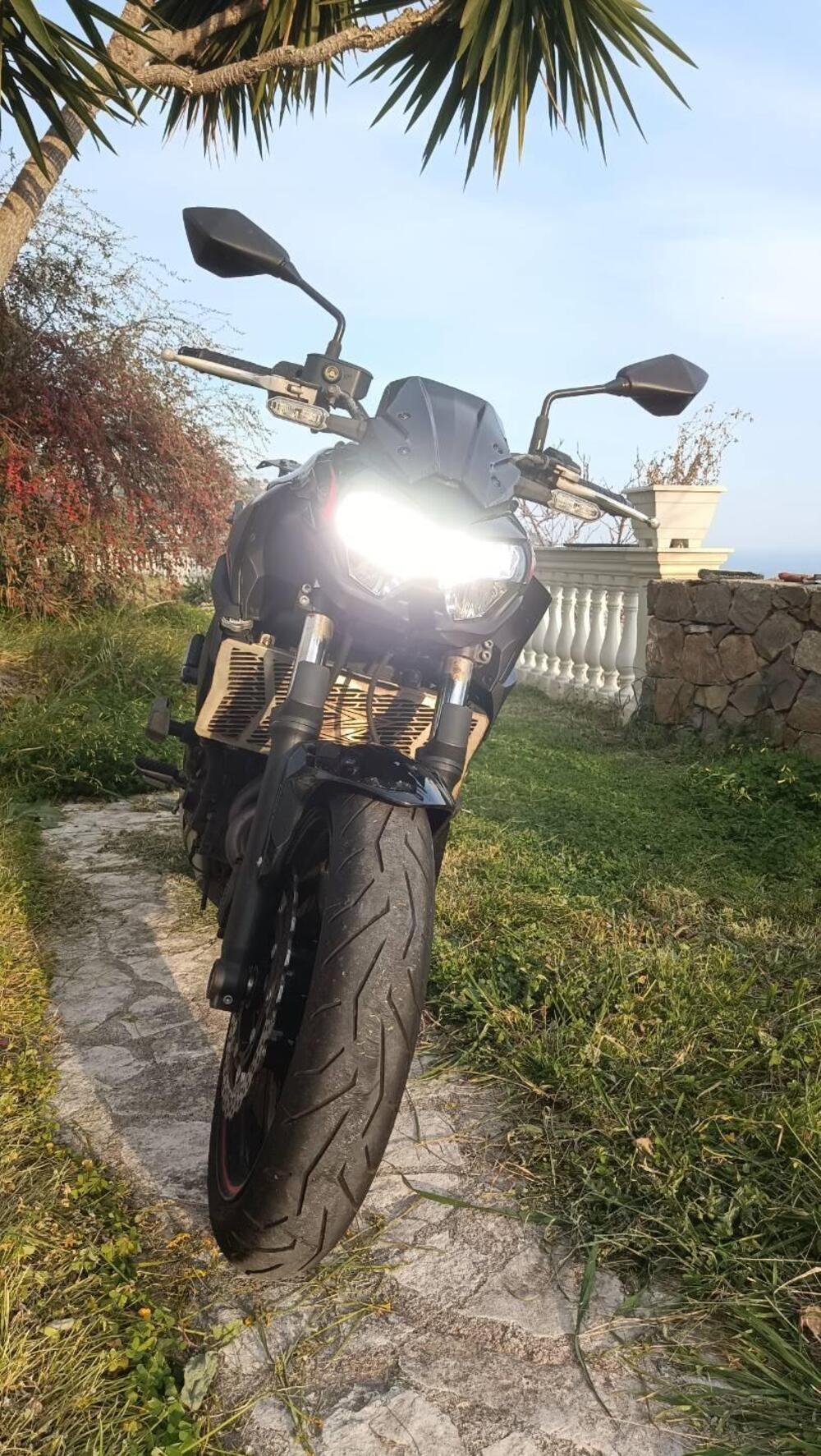 Kawasaki Z 650 (2021 - 24) (6)